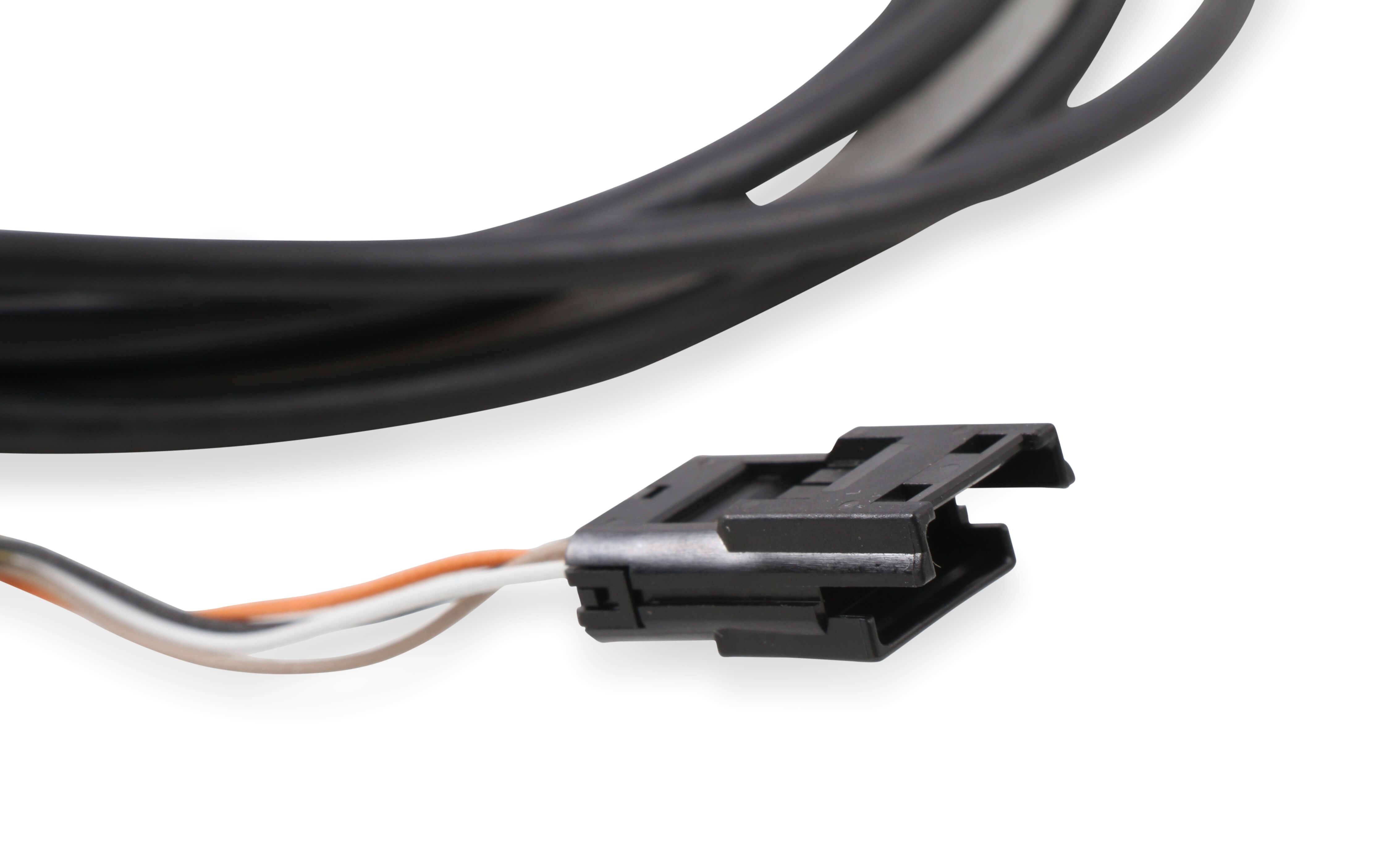 HolleyEFI, CAN Adapter Harness, 8' - 558-453